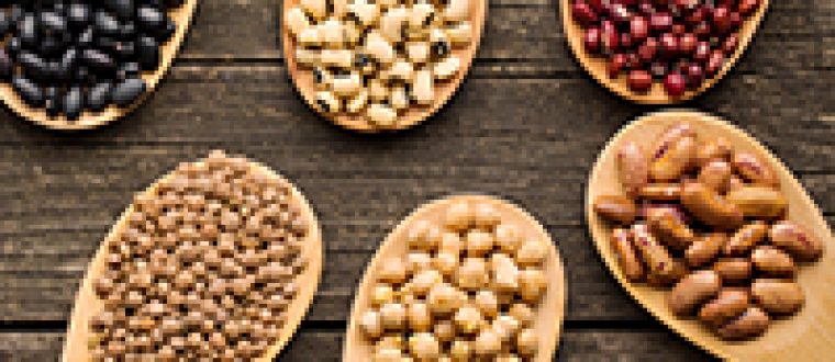 החשיבות בהשריית קיטניות אגוזים וזרעים